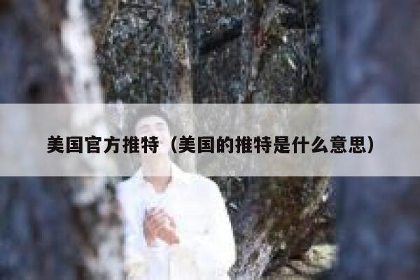 美国官方推特（美国的推特是什么意思） 第1张