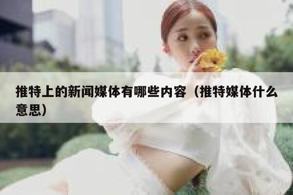 推特上的新闻媒体有哪些内容（推特媒体什么意思） 第1张