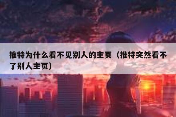 推特为什么看不见别人的主页（推特突然看不了别人主页） 第1张