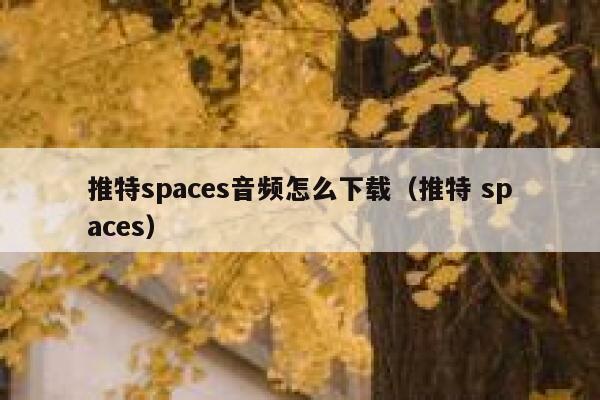 推特spaces音频怎么下载（推特 spaces） 第1张