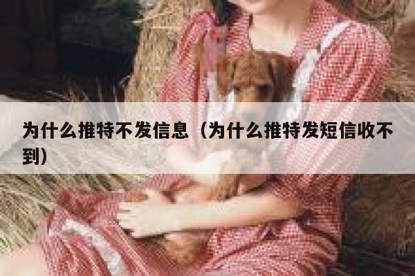 为什么推特不发信息（为什么推特发短信收不到） 第1张
