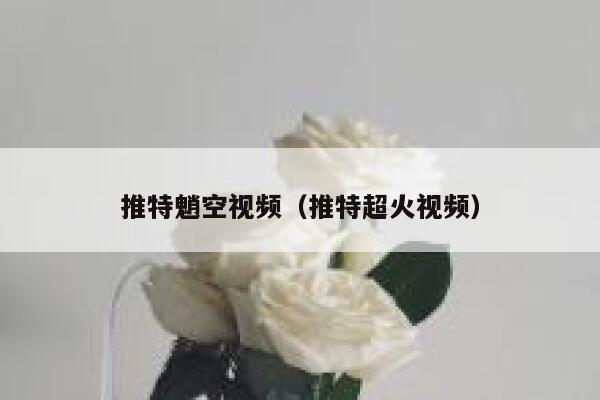推特魈空视频（推特超火视频） 第1张