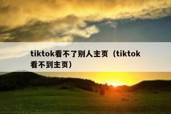 tiktok看不了别人主页（tiktok看不到主页） 第1张