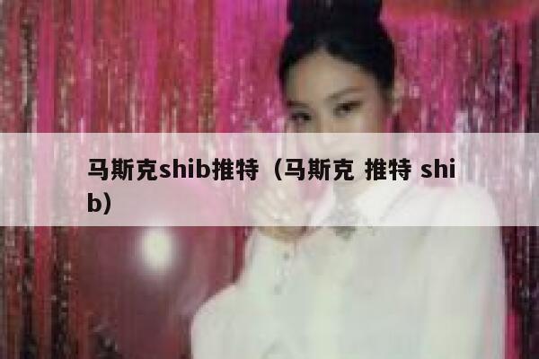 马斯克shib推特（马斯克 推特 shib） 第1张
