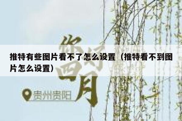 推特有些图片看不了怎么设置（推特看不到图片怎么设置） 第1张