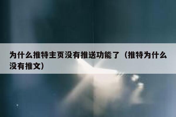 为什么推特主页没有推送功能了（推特为什么没有推文） 第1张