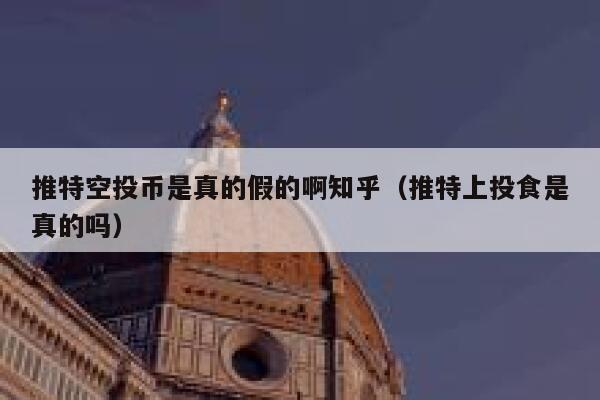 推特空投币是真的假的啊知乎（推特上投食是真的吗） 第1张