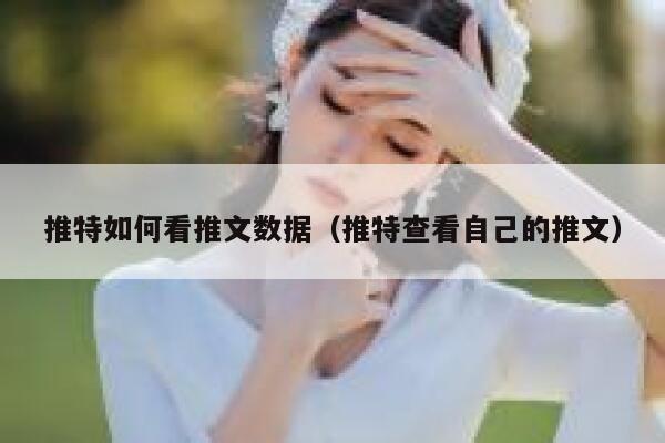 推特如何看推文数据（推特查看自己的推文） 第1张