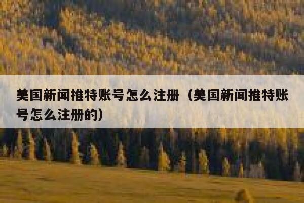 美国新闻推特账号怎么注册（美国新闻推特账号怎么注册的） 第1张