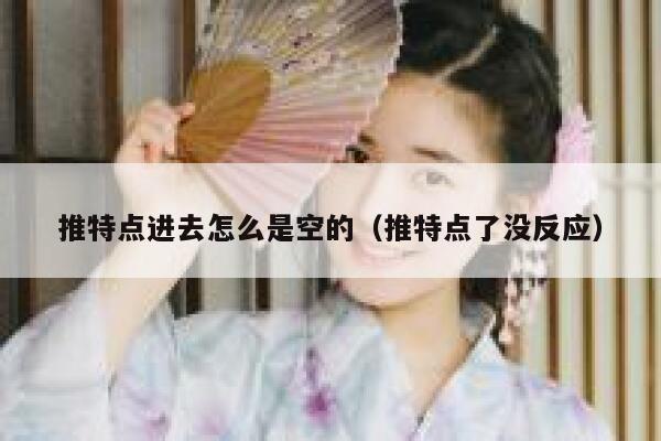 推特点进去怎么是空的（推特点了没反应） 第1张