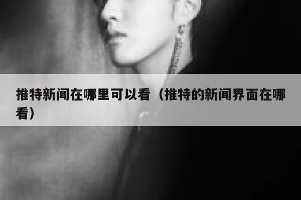 推特新闻在哪里可以看（推特的新闻界面在哪看） 第1张
