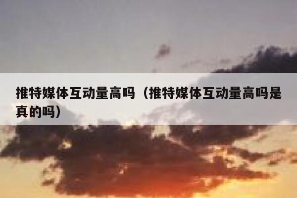 推特媒体互动量高吗（推特媒体互动量高吗是真的吗） 第1张