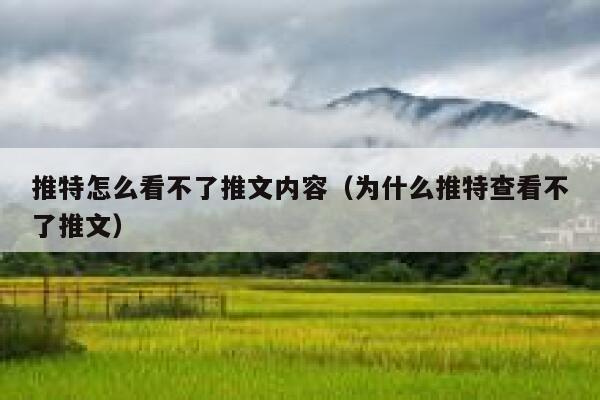 推特怎么看不了推文内容（为什么推特查看不了推文） 第1张