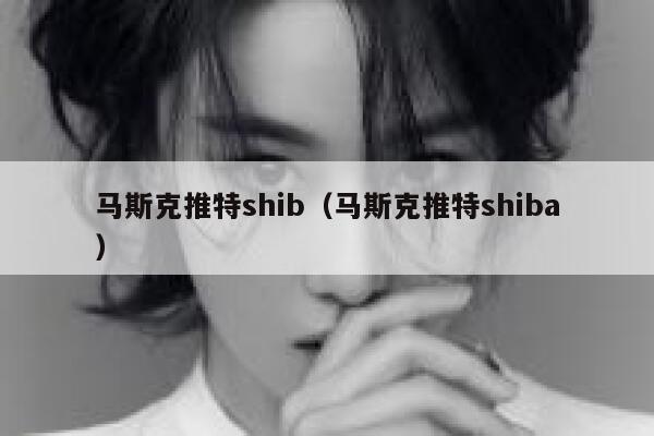 马斯克推特shib（马斯克推特shiba） 第1张