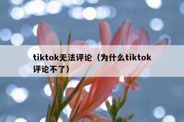 tiktok无法评论（为什么tiktok评论不了） 第1张