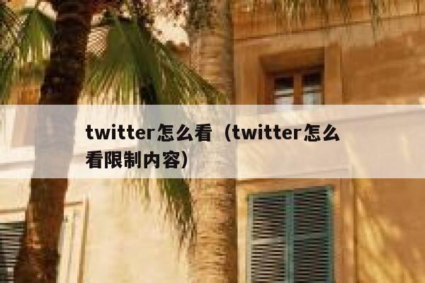 twitter怎么看（twitter怎么看限制内容） 第1张