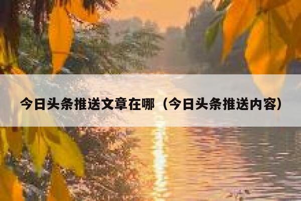 今日头条推送文章在哪（今日头条推送内容） 第1张