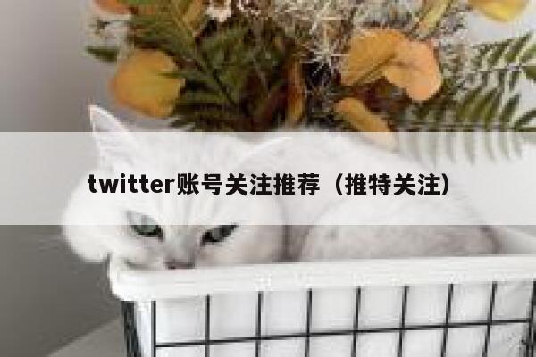 twitter账号关注推荐（推特关注） 第1张