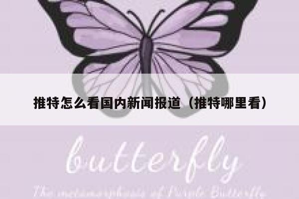 推特怎么看国内新闻报道（推特哪里看） 第1张