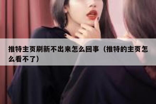 推特主页刷新不出来怎么回事（推特的主页怎么看不了） 第1张