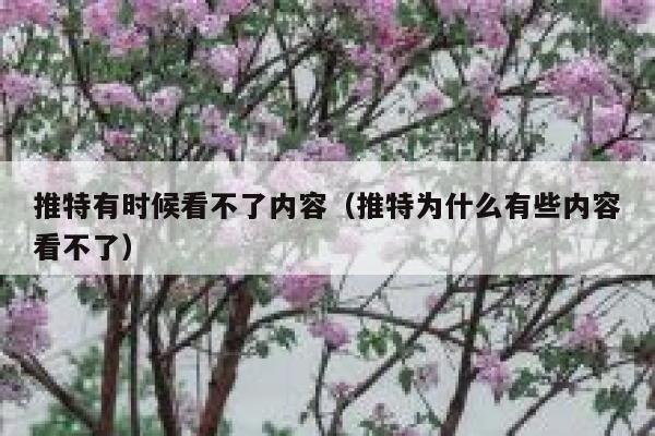推特有时候看不了内容（推特为什么有些内容看不了） 第1张