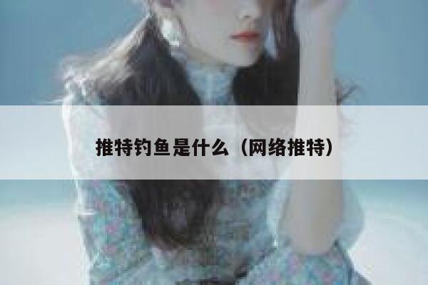推特钓鱼是什么（网络推特） 第1张