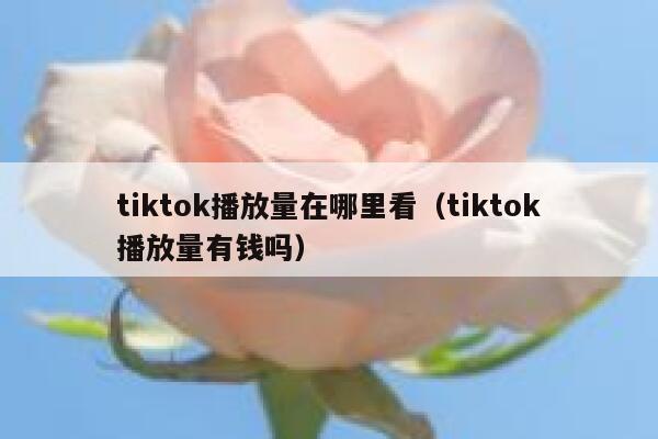 tiktok播放量在哪里看（tiktok播放量有钱吗） 第1张