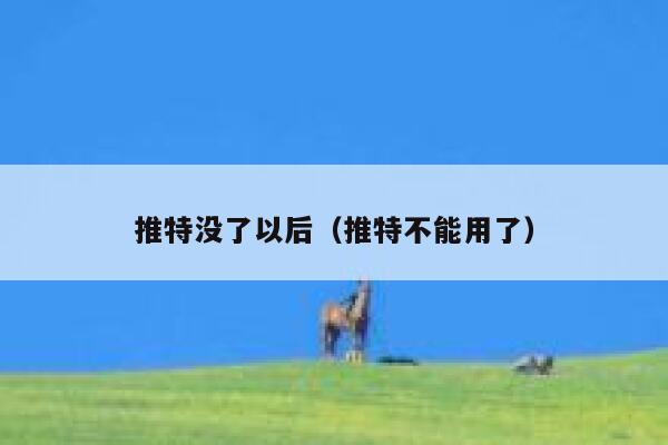 推特没了以后（推特不能用了） 第1张