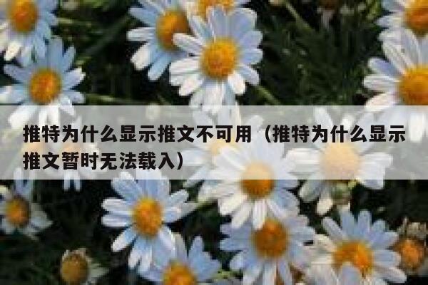 推特为什么显示推文不可用（推特为什么显示推文暂时无法载入） 第1张