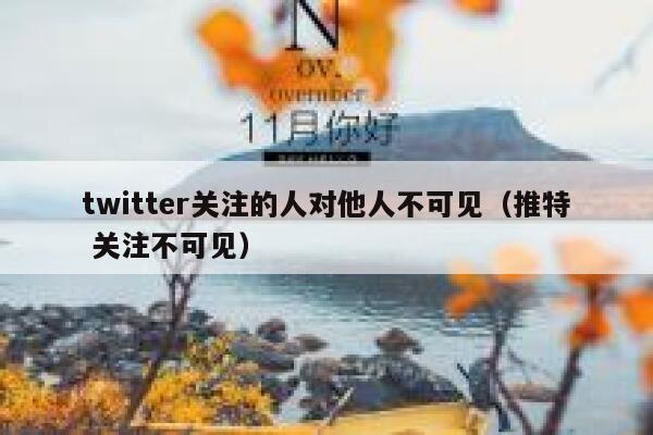 twitter关注的人对他人不可见（推特 关注不可见） 第1张
