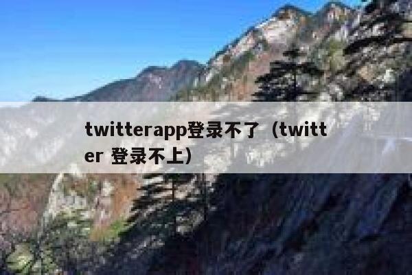 twitterapp登录不了（twitter 登录不上） 第1张