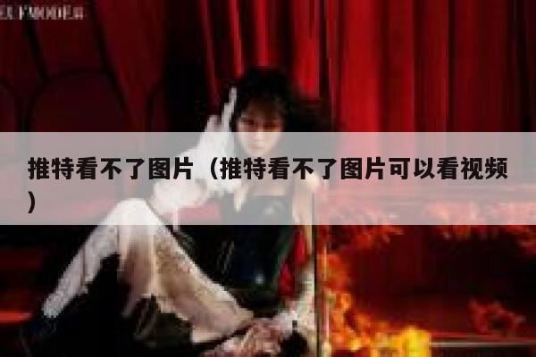 推特看不了图片（推特看不了图片可以看视频） 第1张