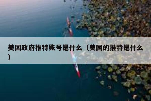 美国政府推特账号是什么（美国的推特是什么） 第1张