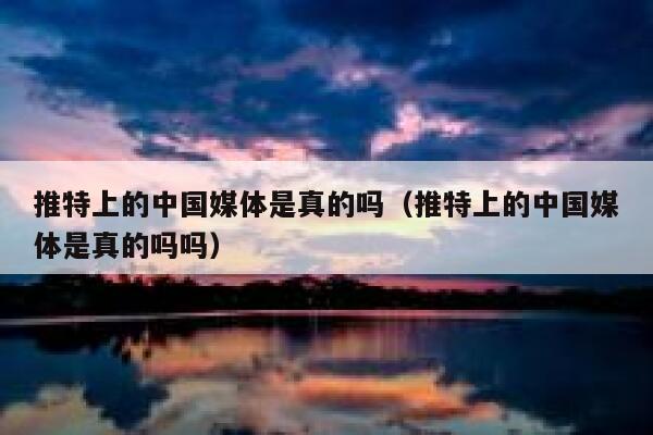 推特上的中国媒体是真的吗（推特上的中国媒体是真的吗吗） 第1张