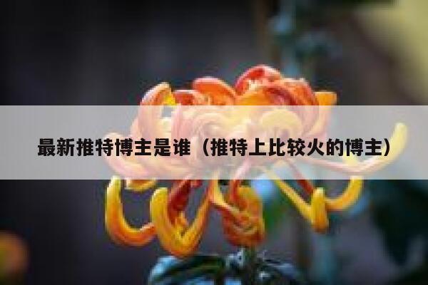 最新推特博主是谁（推特上比较火的博主） 第1张