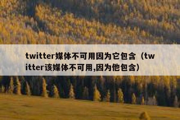 twitter媒体不可用因为它包含（twitter该媒体不可用,因为他包含） 第1张