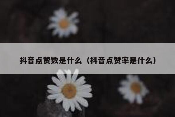 抖音点赞数是什么（抖音点赞率是什么） 第1张