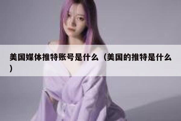 美国媒体推特账号是什么（美国的推特是什么） 第1张