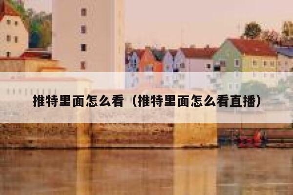 推特里面怎么看（推特里面怎么看直播） 第1张