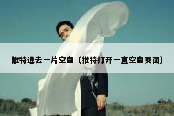推特进去一片空白（推特打开一直空白页面） 第1张