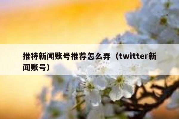 推特新闻账号推荐怎么弄（twitter新闻账号） 第1张