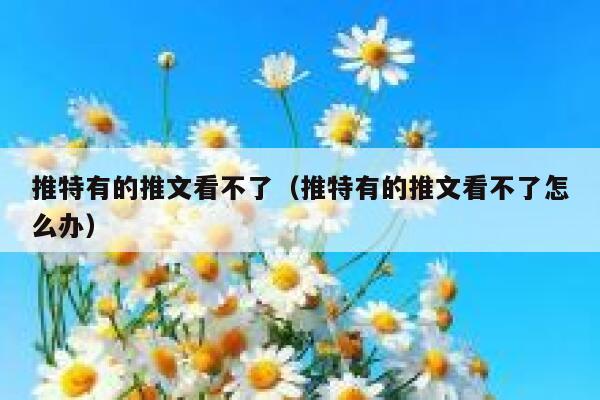推特有的推文看不了（推特有的推文看不了怎么办） 第1张