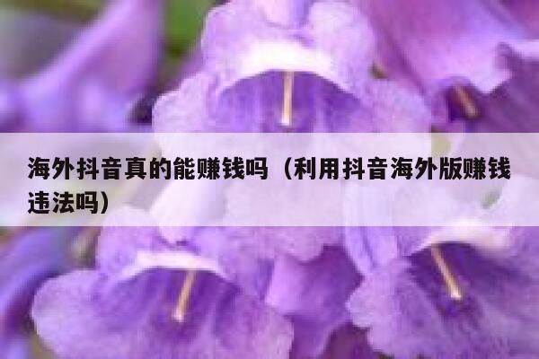 海外抖音真的能赚钱吗（利用抖音海外版赚钱违法吗） 第1张