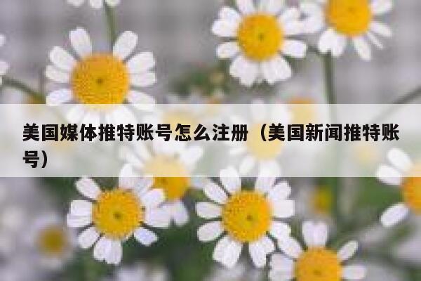 美国媒体推特账号怎么注册（美国新闻推特账号） 第1张