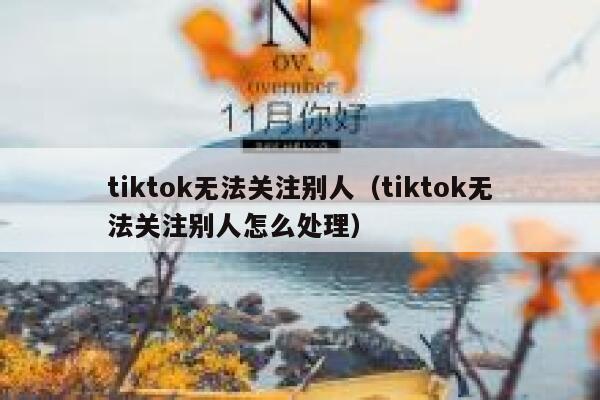 tiktok无法关注别人（tiktok无法关注别人怎么处理） 第1张