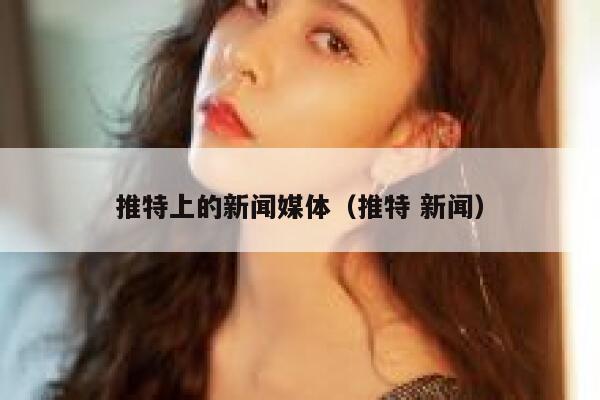 推特上的新闻媒体（推特 新闻） 第1张