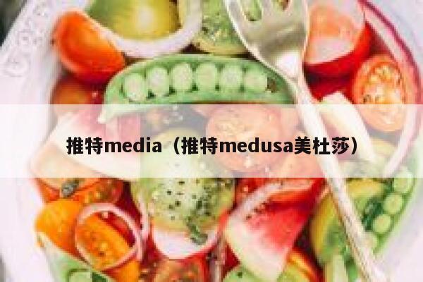 推特media（推特medusa美杜莎） 第1张