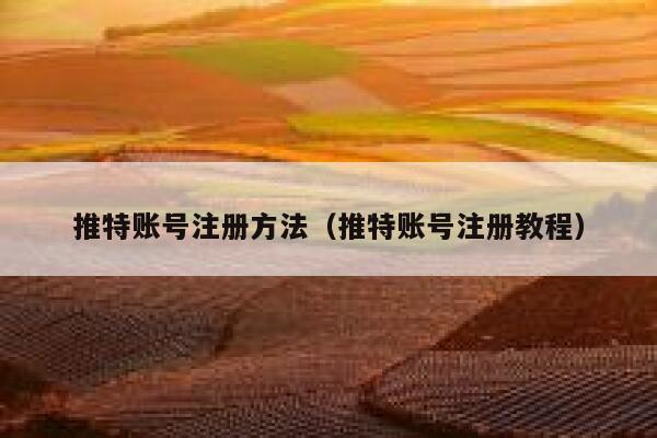推特账号注册方法（推特账号注册教程） 第1张