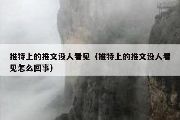 推特上的推文没人看见（推特上的推文没人看见怎么回事） 第1张