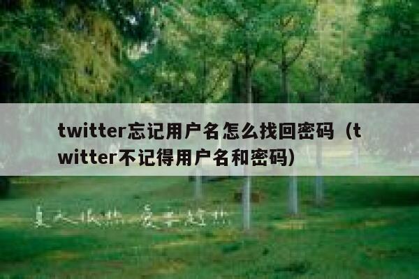 twitter忘记用户名怎么找回密码（twitter不记得用户名和密码） 第1张